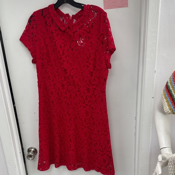 eva mendes for New York & Company Dresses & Skirts - Eva Mendes for New York & Company Red Lace Mini Dress Size 12